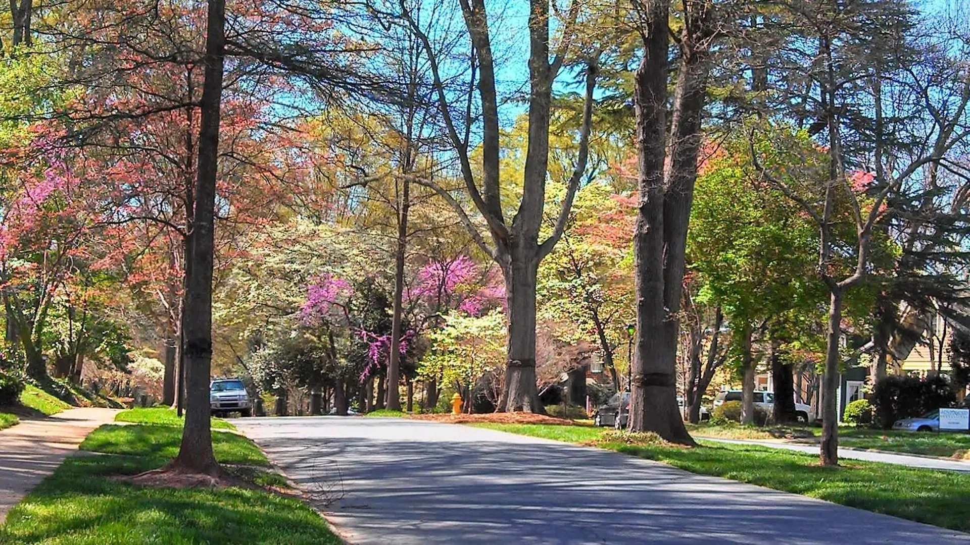 Light Filled 2 Bedroom In Myers Park With A Porch Charlotte USA