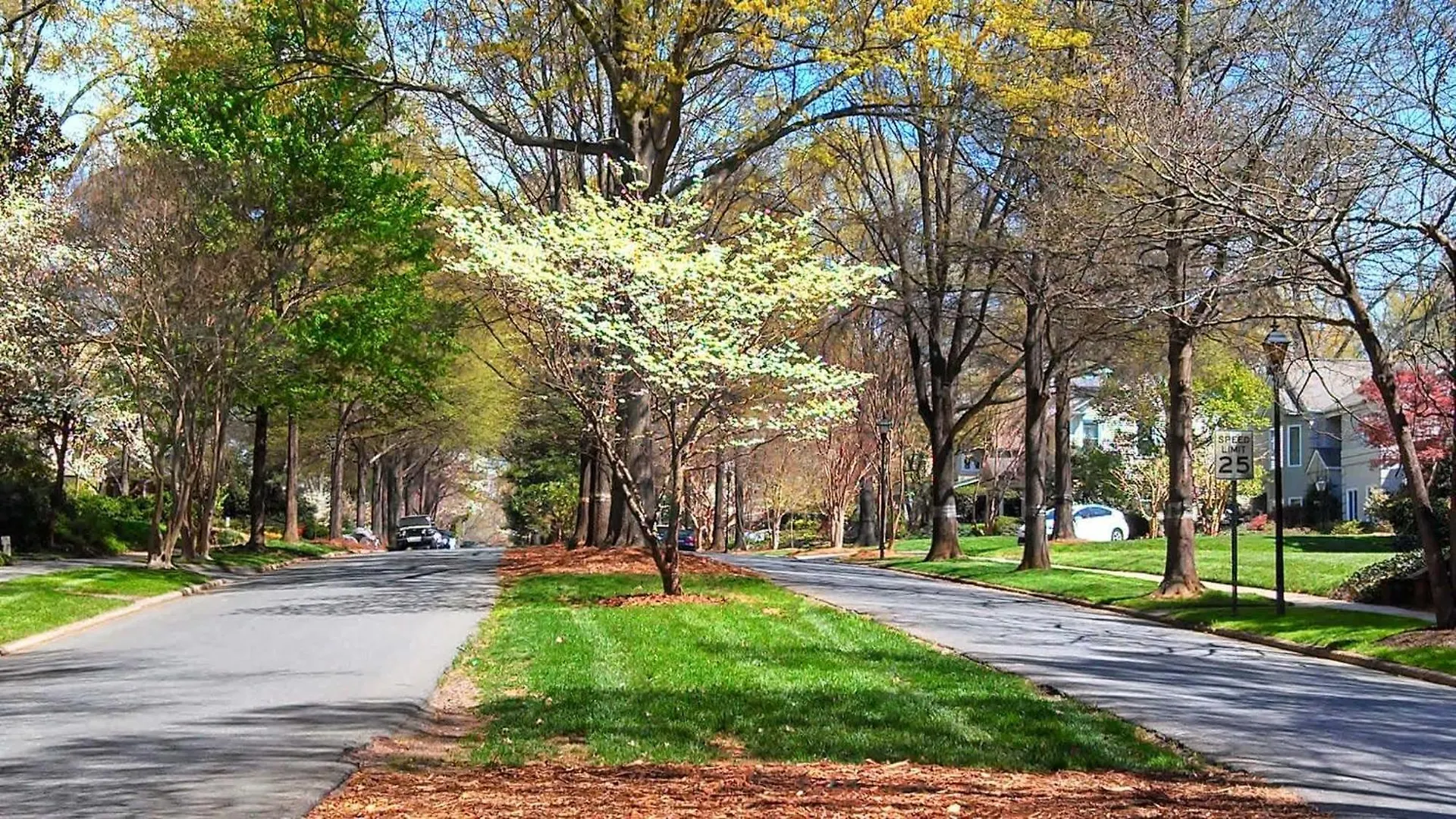 Light Filled 2 Bedroom In Myers Park With A Porch Charlotte 0*,  USA